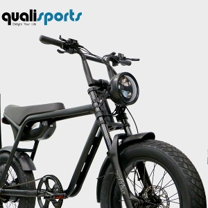 퀄리 볼트B 전기자전거 VOLT E-BIKE (500W/20Ah) 자전거도로통행가능 (PM)